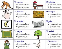 Masculino y Femenino